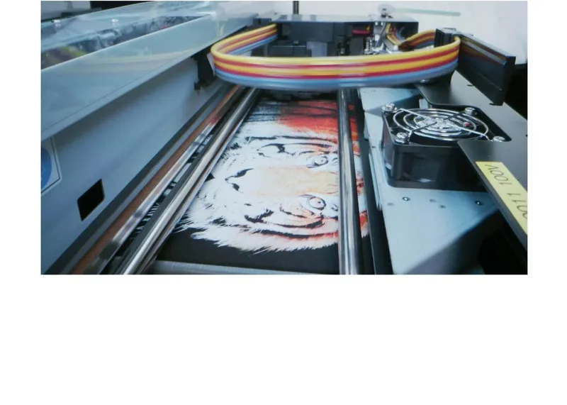 Ricoh Ri2000 Direct To Garment Printer