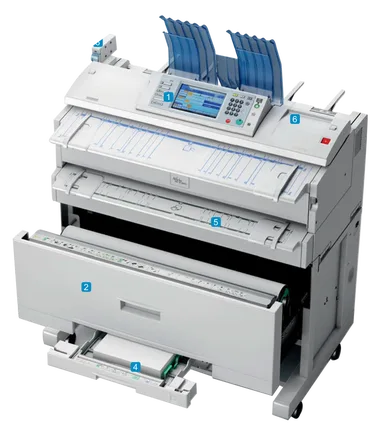 Picture