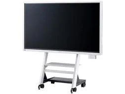 Ricoh Interactive Whiteboard